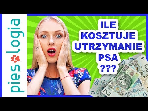 Wideo: Jak Utrzymać Psa?