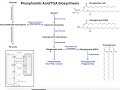 Lipid Biosynthesis | Biosynthesis of Phosphatidic Acid and Triacylglycerols