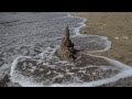 Stubborn Sandcastle