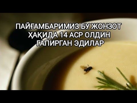 ОВҚАТГА ПАШША ТУШСА, БУ ОВҚАТНИ  ЕСА БЎЛАДИМИ.