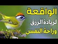 سورة الواقعة لجلب الرزق وراحة القلب كالمطر بصوت رائع Surah Al Waqiah سورة الواقعة لجلب الرزق وراحة القلب كالمطر بصوت رائع Surah Al Waqiah