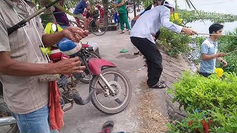 BÀ CON RA SÔNG SÀI GÒN - BÌNH DƯƠNG CÂU CÁ Ổ GIỰT KHÔNG NGỚT TAY | ASANG TV