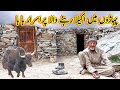 An Old Man Living Alone on Top Of Mountain in Pakistan| Gilgit baltistan