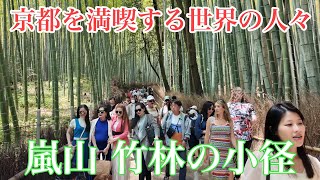 2024年5月24日 京都を満喫する世界の人々 嵐山竹林の小径を歩く Walking along the path of Arashiyama Bamboo Forest 【4K】