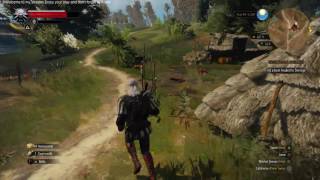 Witcher 3 Epi#13