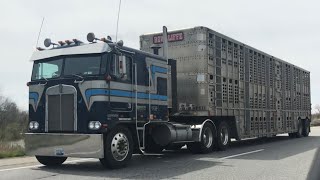 TRUCK SPOTTING IN MICHIGAN AND INDIANA  Cabover, Musical Horn, WIA, & More