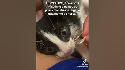 🟨 Virei ESPIÃO pra TESTAR A HONESTIDADE dos Meus Amigos - CS4 / Geleiahttps://www.youtube.com/watch