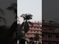 #youtubeshorts #beautiful #youtube #nature #youtuber #iskcon