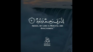 أجمل حالات واتس اب قرآن كريم بصوت ناصر القطامي | صوت يريح القلب❤️😴