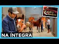 Programa Cavalos Crioulos/ 23/05/2021