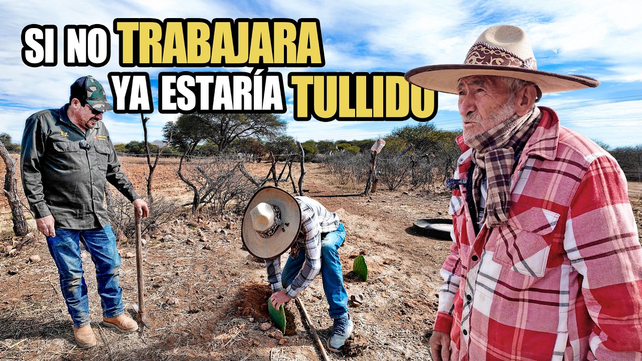 A sus 91 AÑOS, Don Pedro sigue TRABAJANDO sus TIERRAS