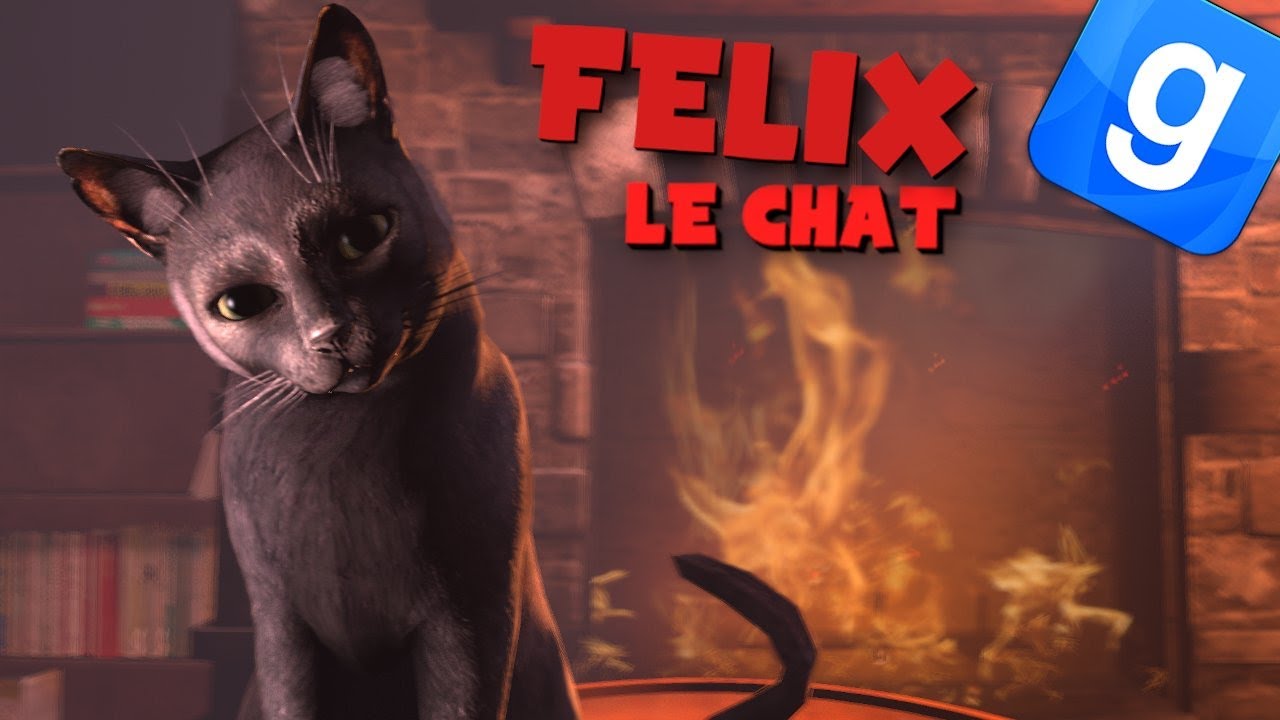 FELIX LE CHAT   GARRYS MOD DARKRP