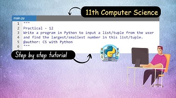 Class 11 CS Practical – largest/smallest number in list/tuple 🐍 | Python Practical Program