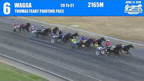 WAGGA - 13/04/2018 - Race 6 - THOMAS FEARY PAINTING PACE