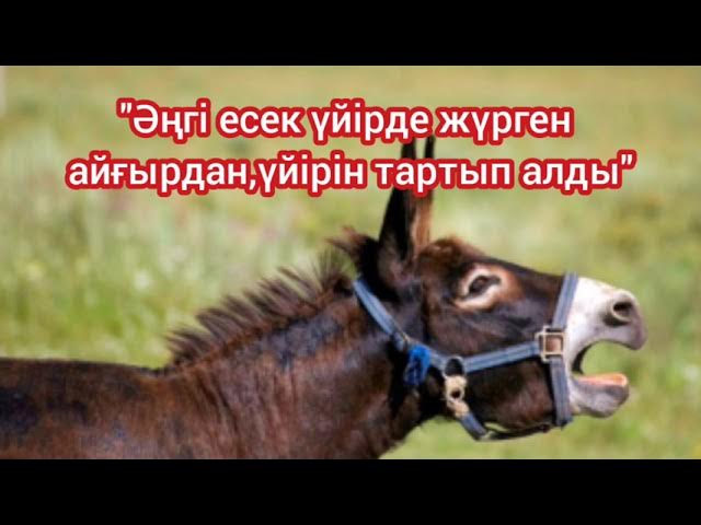 Күшікті емізу порно онлайн