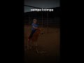  viral horses abuse channel name is a2 rotha