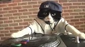 Dj Chat Youtube