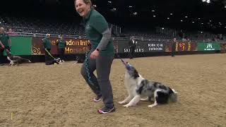 The Kennel Club Large Dog Agility SemiFinals, Jumping Grand Prix & Large Dog Agility Final