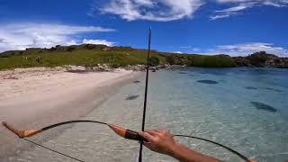 BOWFISHING       Survival   Catch   n   Cook       Hunting Sharks