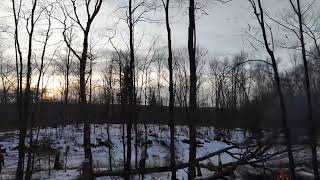 Clearing trees for the garage build!!