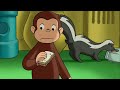 おさるのジョージとスカンク！ | Curious George | 子供のための漫画 | WildBrain ジャパン