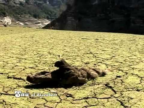 SAU al descobert (2008) - YouTube