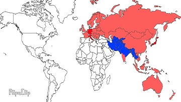 The most normal map animation in florida