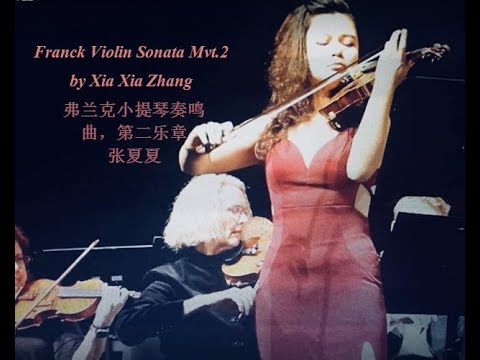 Xia Xia Zhang - Esteemed Violinist