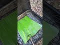 Curar las hojas de plátano para las hallacas