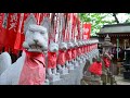 Temple full of foxes! And much more in Tokyo!| JAPAN LIVE STREAMS 2021