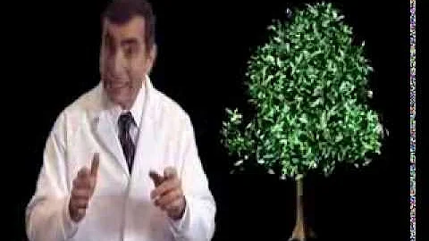 Dr James Tour: Nano-technology, Nano-cars & Nano-kids