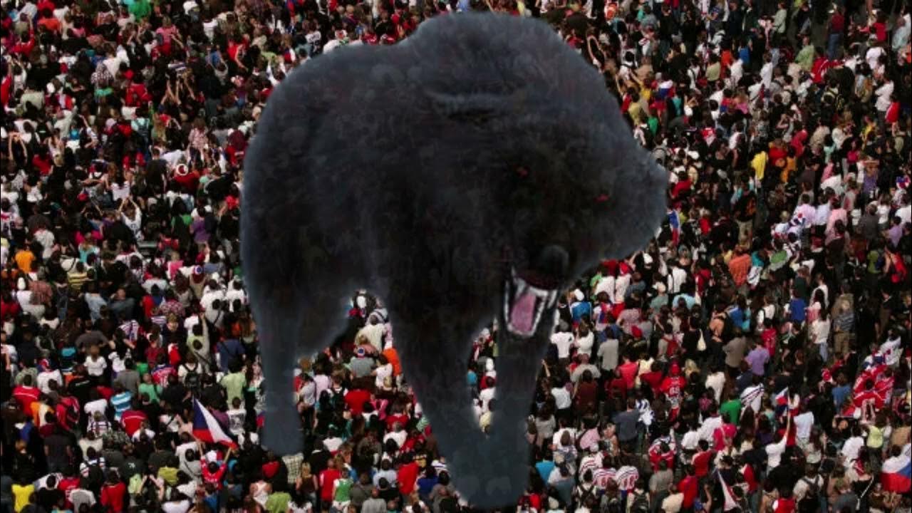 snarly-yow-youtube