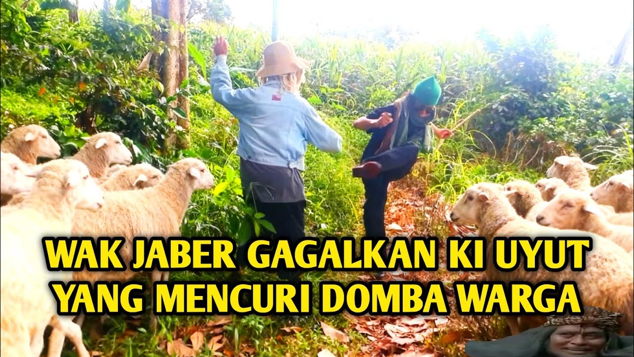 WAK JABER TENDAN6 KEP4LA KI UYUT KARENA MENCURI KAMBING WARGA