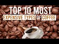 Top 10 Most Expensive Coffee Beans 2021