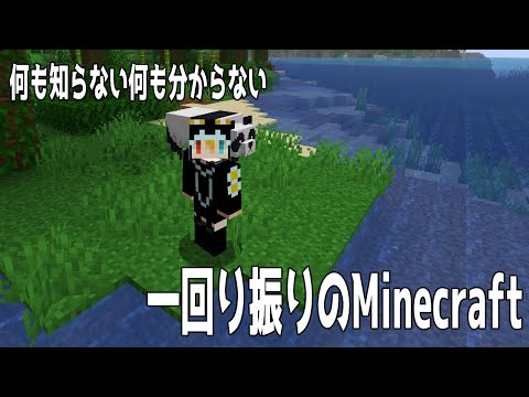 【Minecraft】一回り振りのマイクラ雑談配信 ➡ Shape of Dreams