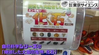 古生物ガチャ - YouTube