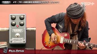 MESA ENGINEERING FLUX-DRIVE ギターエフェクター Mesa/Boogie Flux-Drive Overdrive Pedal | Sweetwater