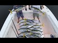 Yellowfin Tuna Slay... WE LIMITED OUT! (Tuna Fishing)