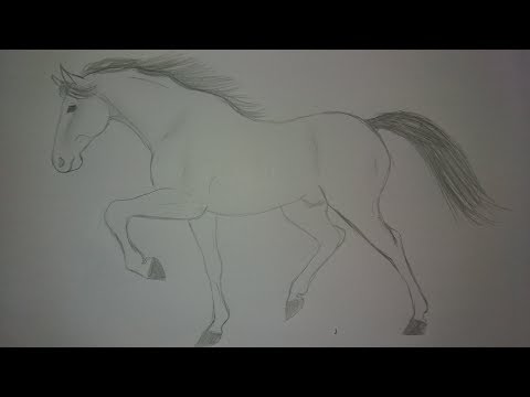 Como desenhar um Cavalo realista PASSO A PASSO narrado 