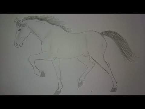 como desenhar um cavalo infantil