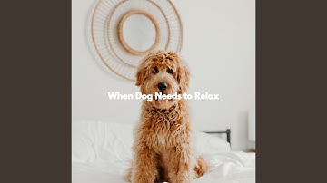 Remarkable Music for Free Fusions