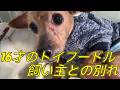 僕はまだ生きたいよ