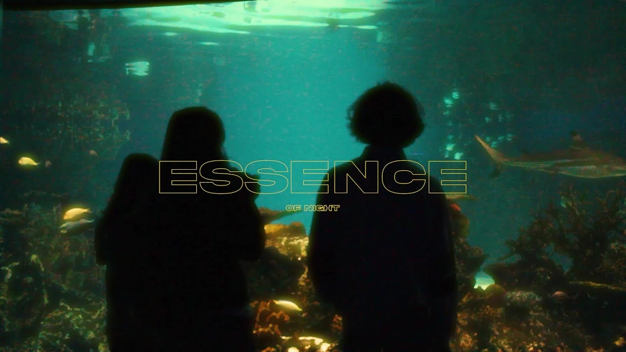The Essence of Night