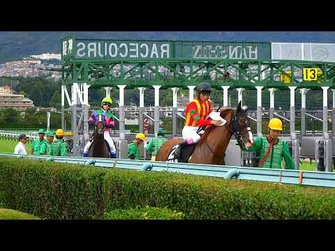 藤岡康太騎手、カゼルタの汗を拭く。ムーンライトＨＣ 阪神競馬場 2016.09.25