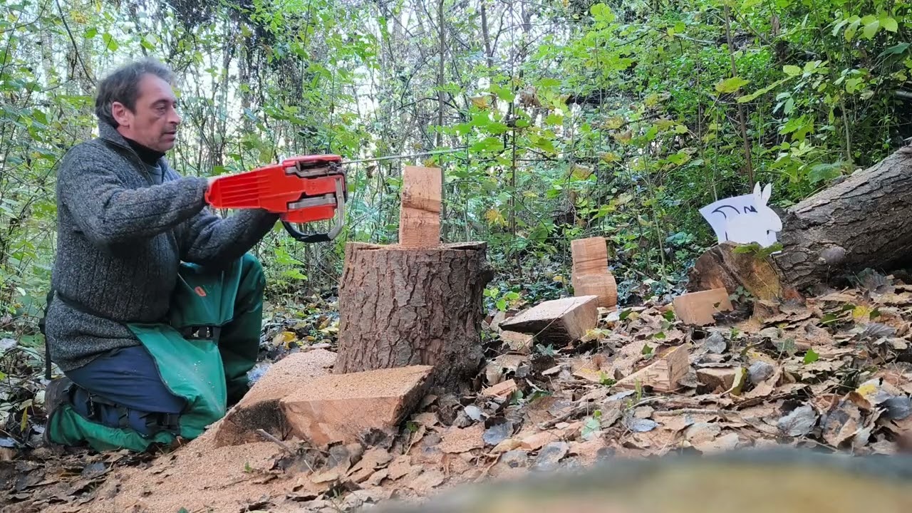 Sculpture écureuil, #chainsaw #sculture # bois #gaming #wood