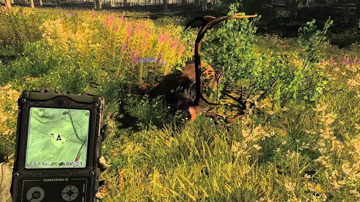 theHunter a 384 elk