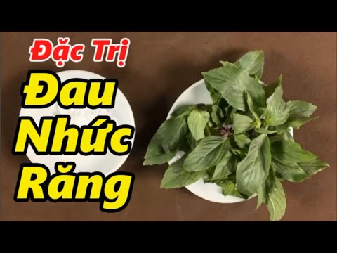 Cách chữa khỏi dứt điểm bệnh sâu răng, đau răng, ê buốt răng ngay tại nhà_Mẹo chữa bệnh