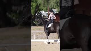 Sequence of the Aids #equestrian #horse #dressage