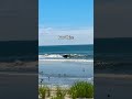 They are creating perfect waves 😮‍💨 #surfing #surf