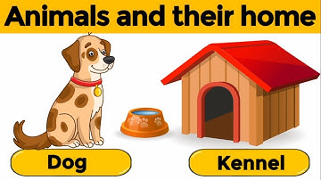 Animals and their homes | Animals home | Home of animals | Animal homes | Animal shelter for kids